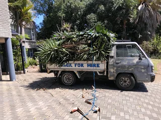 EMERGENCY SERVICE:GARAGE CLEANING SERVICES::YARD CLEANING SERVICES::TREE FELLING::STUMP REMOVAL::