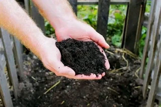 Cape Compost