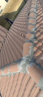 Roof leaks fixing.. Painting...Plumbing and etc..please call or whatsup David the Handyman,