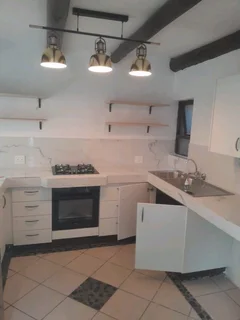 Roof leaks fixing.. Painting...Plumbing and etc..please call or whatsup David the Handyman,