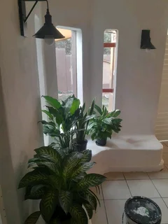 Roof leaks fixing.. Painting...Plumbing and etc..please call or whatsup David the Handyman,