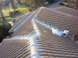 Roof leaks fixing.. Painting...Plumbing and etc..please call or whatsup David the Handyman,