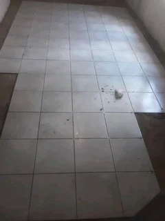 Roof leaks fixing.. Painting...Plumbing and etc..please call or whatsup David the Handyman,