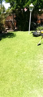 Available tow days, tuesday and thursday