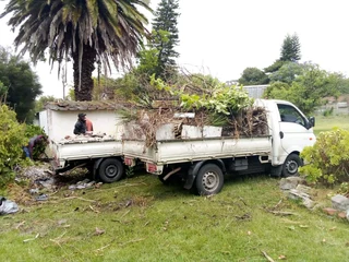 Professional Tree Feller, Cutting Down, Trimming And Stump Removal