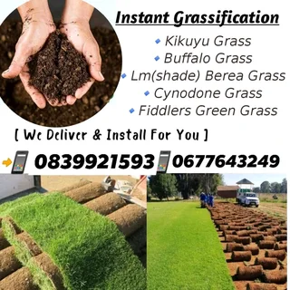 Roll On Natural Grass Fresh From The Farm Deliveries And Installer At Reasonable Prices