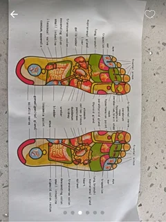 Premium Collection i8 Massager. Reflexology Slippers. Physiotherapy Belt. DNA Technology high tech I