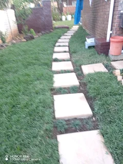 Farm fresh evergreen instant lawn