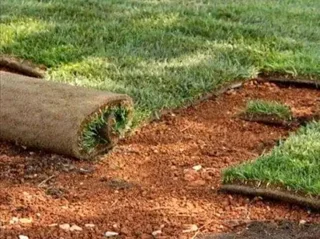 Farm fresh evergreen instant lawn