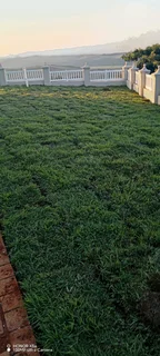 Farm fresh evergreen instant lawn