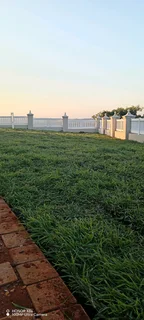 Farm fresh evergreen instant lawn