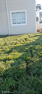 Farm fresh evergreen instant lawn