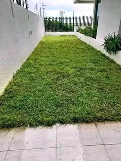 Farm fresh evergreen instant lawn