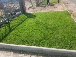 Farm fresh evergreen instant lawn