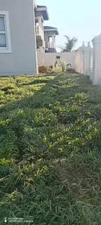 Farm fresh evergreen instant lawn