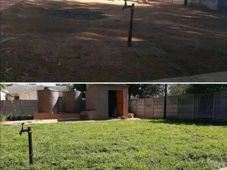 Farm fresh evergreen instant lawn