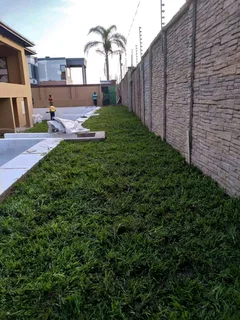 Farm fresh evergreen instant lawn