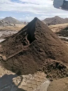 Farm fresh evergreen instant lawn