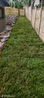 Instant lawn