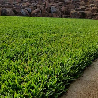 instant lawn 0828484303