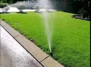 Farm fresh evergreen instant lawn