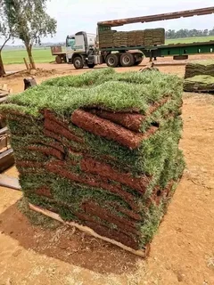 Farm fresh evergreen instant lawn