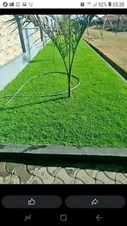 Farm fresh evergreen instant lawn