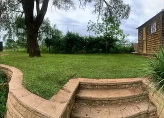 Farm fresh evergreen instant lawn