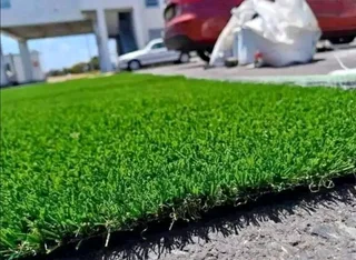 Farm fresh evergreen instant lawn