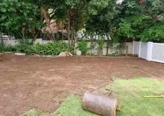 Farm fresh evergreen instant lawn