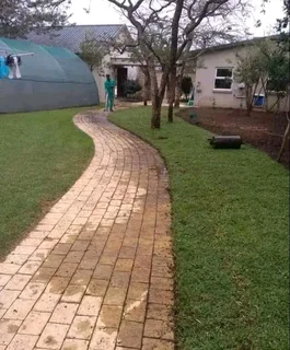 Farm fresh evergreen instant lawn