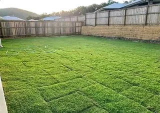 Farm fresh evergreen instant lawn