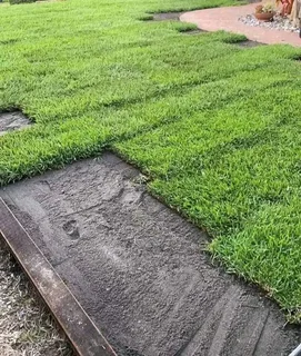 Farm fresh evergreen instant lawn