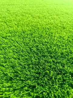Evergreen instant lawn