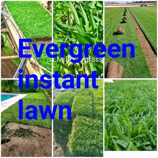 Farm fresh evergreen instant lawn mower