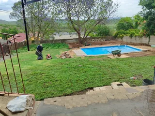 Evergreen instant lawn