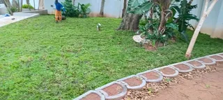 Farm fresh evergreen instant lawn