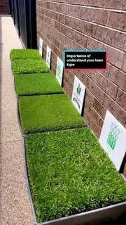 LM Berea Shade, Kikuyu, Buffalo, Royal Blue