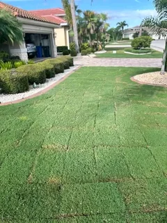 LM Berea Shade, Kikuyu, Buffalo and Royal Blue