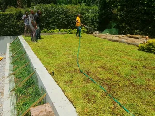 Lawn grass installation and supply