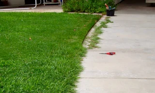 grass cutting &amp; garden service