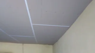 We specialized in Painting