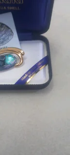 Genuine &#39;Ariki Paua&#39; New Zealand Shell 24 Ct Gold Plated Brooch