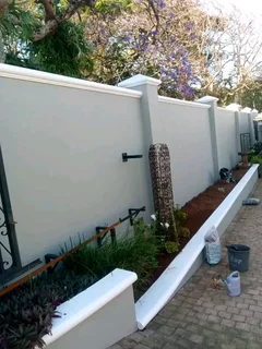 Painting expert available