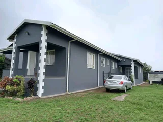 Expert painter available