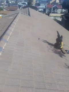 Expert painter available