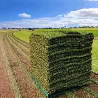 Supply grass and top soil