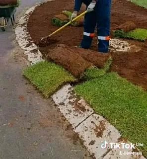 Supply grass and top soil