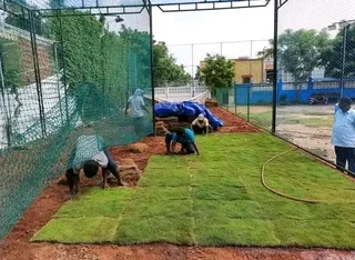 Supply grass and top soil