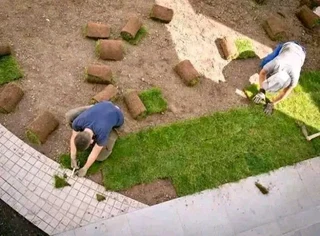 Natural grass straight from the farm